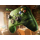 Microsoft Xbox Series Kontroler - edycja limitowana X25 - 1612930 - zdjęcie 2